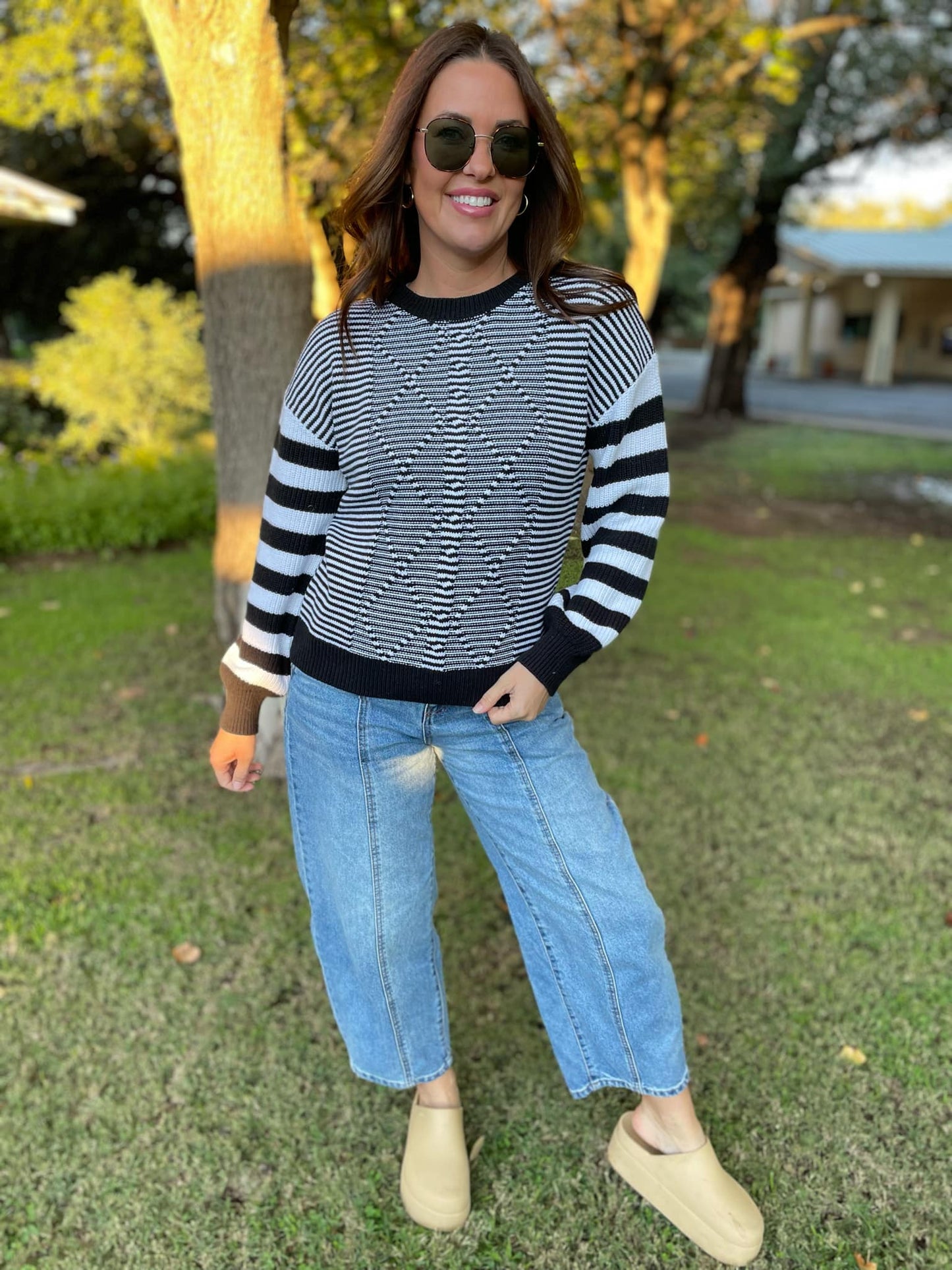 Mountain Lodge Striped Sleeve Sweater