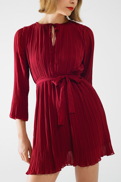 Crimson Charm Pleated Mini Dress