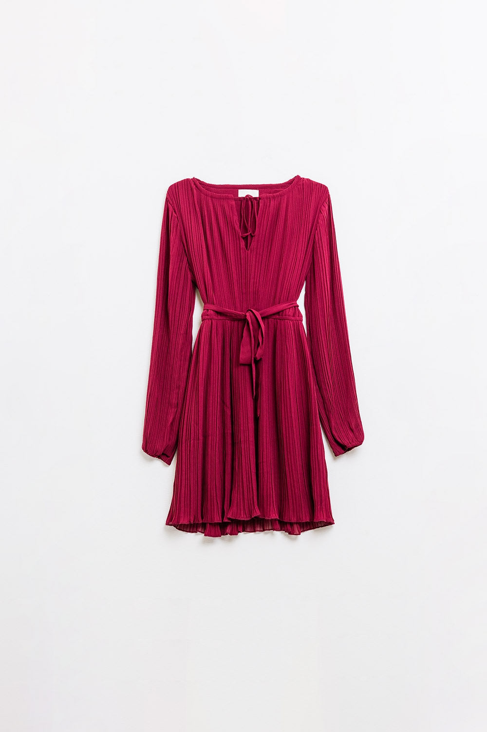 Crimson Charm Pleated Mini Dress