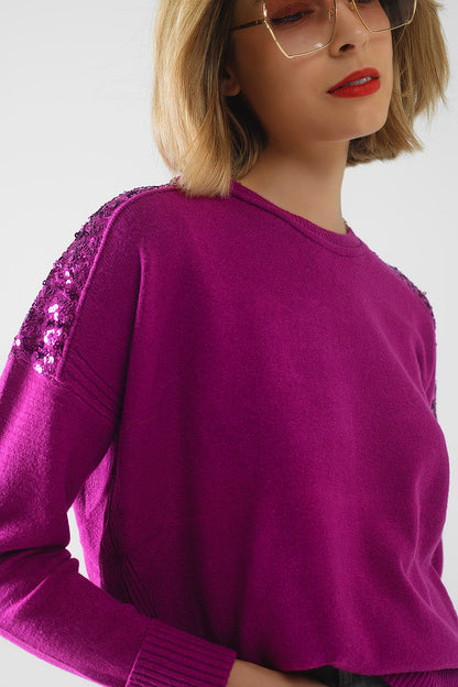 Glitz & Chic Fuchsia Sequined Sweater