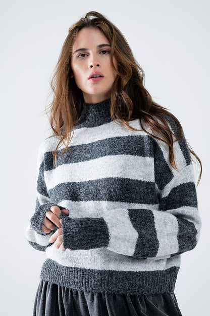 Chunky Knit Striped Turtleneck Sweater