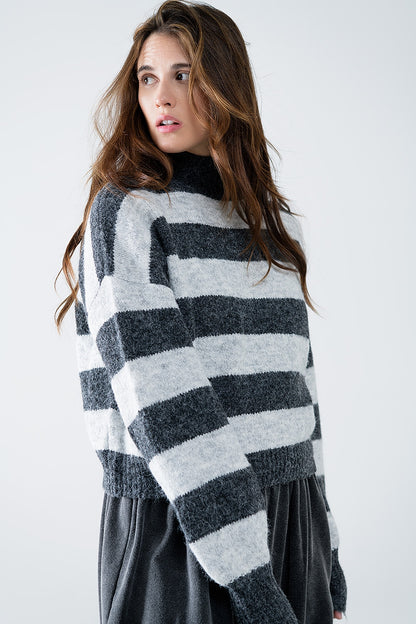 Chunky Knit Striped Turtleneck Sweater