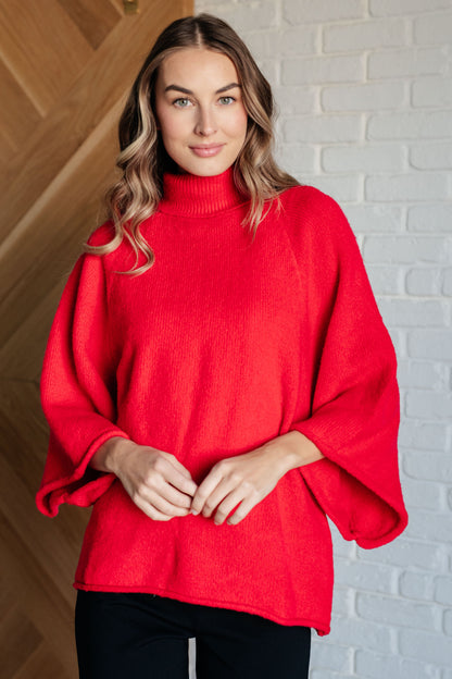 Passionate Hues Turtleneck Sweater