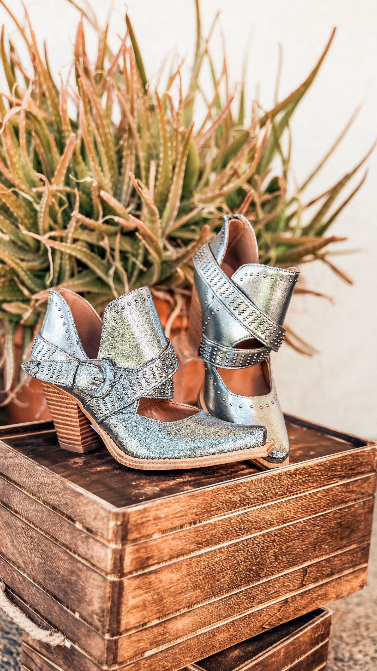 Silver Fantasia Ankle Boots